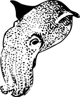 malus
